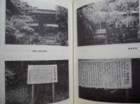 伊勢平氏　第6号