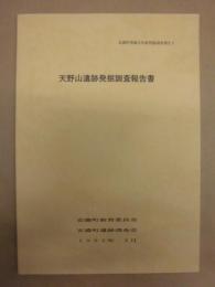 天野山遺跡発掘調査報告書