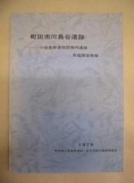 町田市川島谷遺跡発掘調査概報 ： 小田急野津田団地内遺跡