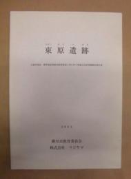 東原遺跡　自動車電話・携帯電話無線局鉄塔建設工事に伴う埋蔵文化財発掘調査報告書