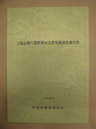 上塩冶横穴墓群第34支群発掘調査報告書