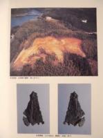 金塚遺跡・金塚横穴墓群・山村遺跡発掘調査報告