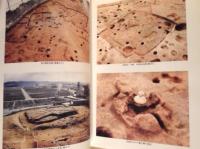 神明遺跡 2 ： 本文編と写真図版編　【矢作川流域を代表する集落遺跡の調査】