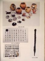 神明遺跡 2 ： 本文編と写真図版編　【矢作川流域を代表する集落遺跡の調査】