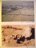 古井堤遺跡・二夕子遺跡