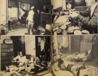 写楽　昭和56年4月1日号