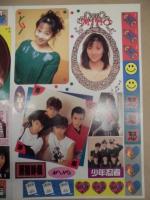 ［付録のみ］ 月刊明星　1989年3月号