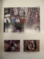 成願寺北遺跡　中野区　発掘調査報告書