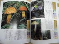 きのこ・山野草 ： 自然の恵み、健康を摘む