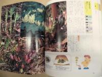 きのこ・山野草 ： 自然の恵み、健康を摘む