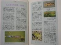 新修 名古屋市史　第8巻　自然編
