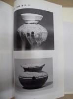岩倉市稲荷町・大山寺町　岩倉南部土地区画整理事業地内所在 埋蔵文化財発掘調査報告 : 御土井廃寺・西出古墳