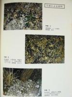鳳来寺山地域植物生態調査 : 昭和47年度補足調査