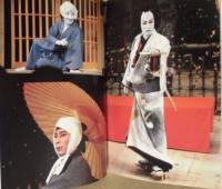 ［図録］ 十二代目襲名記念 市川團十郎展