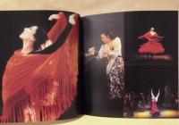 ［公演パンフレット］ スペインフラメンコ舞踊団「カルメン」　2001年9-10月公演 ： 小松原庸子プロデュース