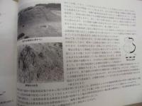 柴戸古墳 : 柴戸古墳発掘調査概要
