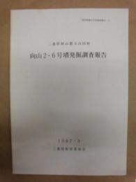 向山2・6号墳発掘調査報告 ： 三重県阿山郡大山田村