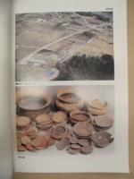 近畿自動車道（勢和～伊勢）埋蔵文化財発掘調査報告　第6分冊　蚊山遺跡左郡地区