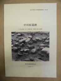 中川原遺跡 : 六所山麓における縄文後・晩期の配石遺構