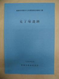 見丁塚遺跡 ： 豊橋市埋蔵文化財調査報告書第11集