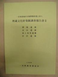 一宮東部地区ほ場整備事業に伴う 埋蔵文化財発掘調査報告書 2 ： 番場遺跡・金山遺跡・東上条里遺跡・宮沢遺跡