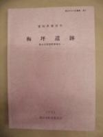 梅坪遺跡　第4次調査概要報告書 ： 愛知県豊田市