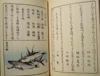 岐阜美や計