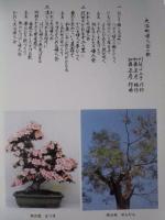 大治町婦人会記念誌 （四十周年記念誌）