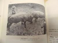 ［14点］ 文化財の保護　第1号、第2号、第4号、第5号、第6号、第7号、第8号、第9号、第10号、第11号、第13号、第15号、第17号、第18号