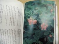 高原の花物語