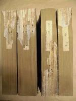 ［23点］ 本草　創刊号～第23号（合本4冊）