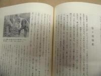 徳島近代史 2