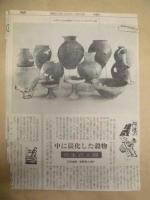 掘ったでよ阿波 ： 埋蔵文化財資料展