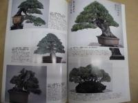WABI　－和・美－　第5号（秋・冬号） ： 盆栽・水石・諸美術　日本を楽しむ情報誌