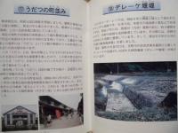 ［3点］ 高地蔵探訪 ガイドブック、ガイドブック 吉野川歴史探訪、吉野川洪水体験集