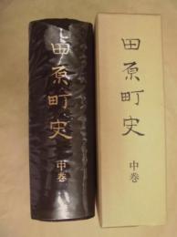 田原町史　中巻