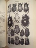 ［2点］ A Manual of Common Beetles of Eastern North America ： VOLUME ONE、VOLUME TWO