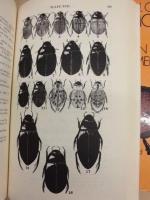 ［2点］ A Manual of Common Beetles of Eastern North America ： VOLUME ONE、VOLUME TWO