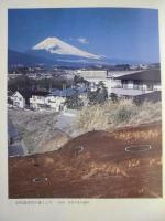 静岡県史　通史編　全7