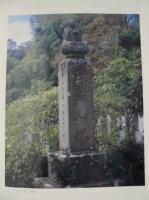 静岡県史　別編 2　自然災害誌