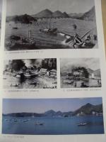 静岡県史　別編 2　自然災害誌