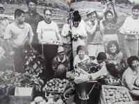 施設にくらしをきずく