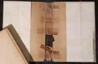 深山の棲息者たち