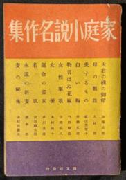 家庭小説名作集
