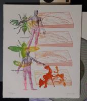 gq　7号　特装版