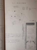 数学的玩具調査