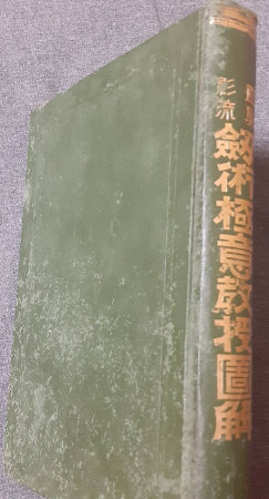 Amazon.co.jp: 恐竜一億年 (SFこども図書館 20) : マースティン