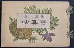 台湾土産写真帖
