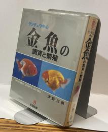 ランチュウ中心　金魚の飼育と繁殖