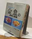 ランチュウ中心　金魚の飼育と繁殖